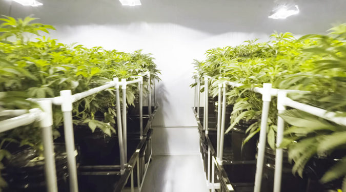 Grow Room Flooring cannabis hemp grow room reflective floor white epoxy